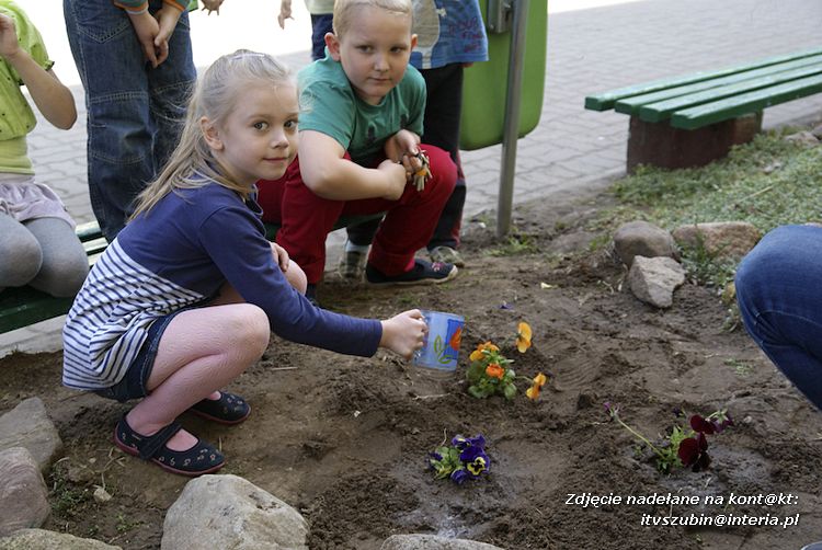 Przedszkolaki i gimnazjaliści wspólnie sadzili kwiatki