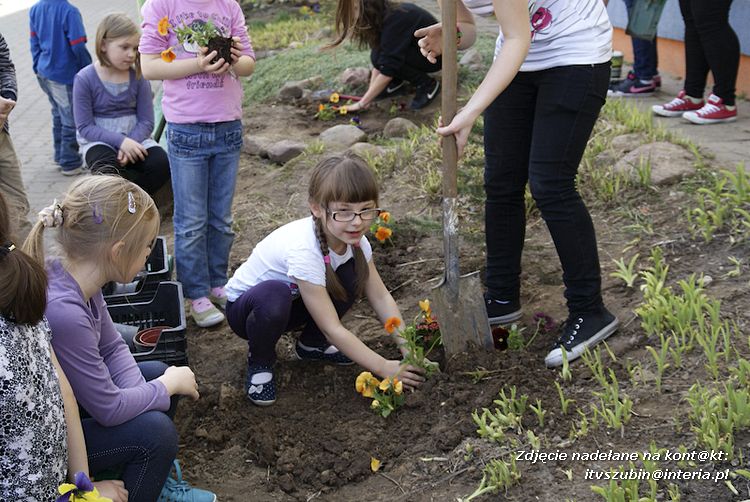 Przedszkolaki i gimnazjaliści wspólnie sadzili kwiatki