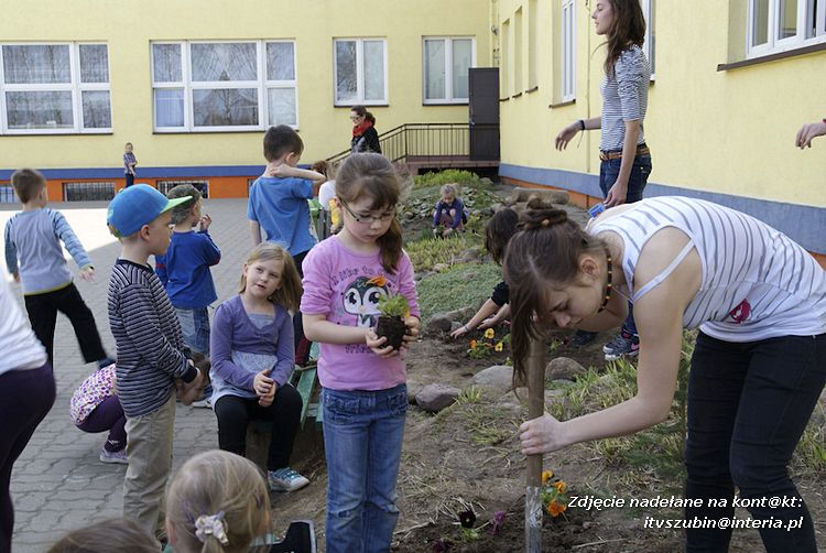 Przedszkolaki i gimnazjaliści wspólnie sadzili kwiatki