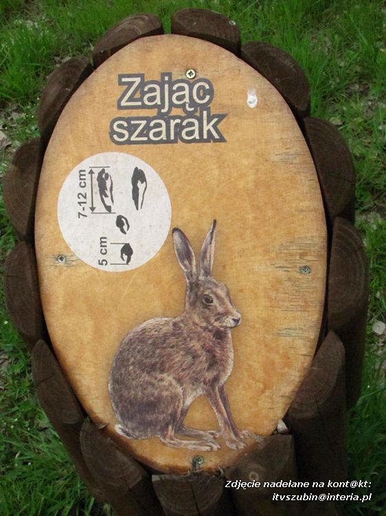 IX Gminny Konkurs Przyrodniczo?Ekologiczny