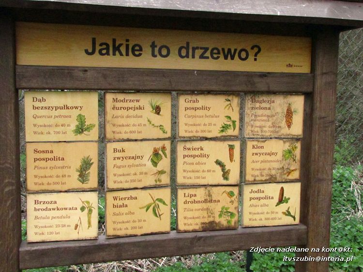 IX Gminny Konkurs Przyrodniczo?Ekologiczny