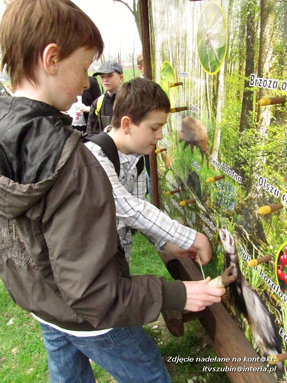IX Gminny Konkurs Przyrodniczo?Ekologiczny