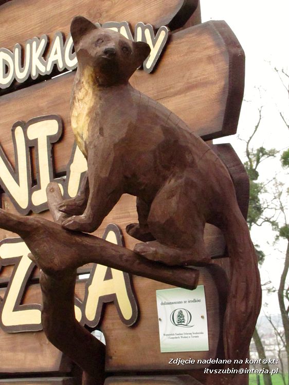 IX Gminny Konkurs Przyrodniczo?Ekologiczny