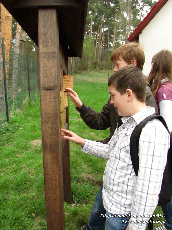 IX Gminny Konkurs Przyrodniczo?Ekologiczny