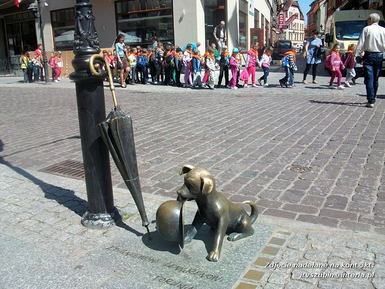 Z Królikowa do Torunia