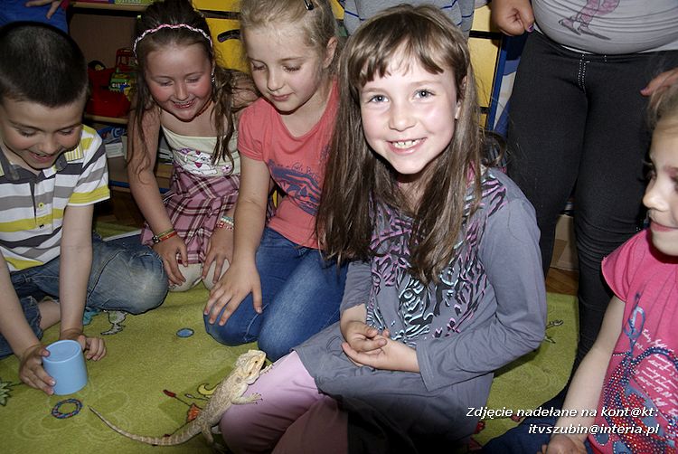 Jaszczurki Angela i Zdzisia z wizytą u maluchów