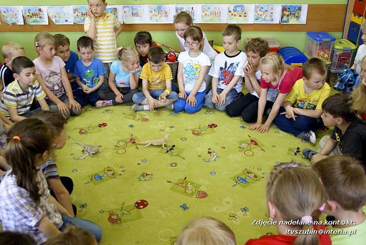 Jaszczurki Angela i Zdzisia z wizytą u maluchów