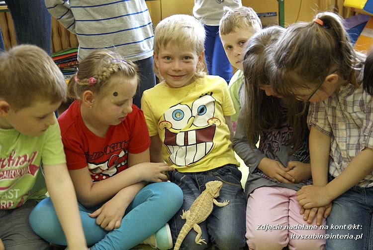 Jaszczurki Angela i Zdzisia z wizytą u maluchów