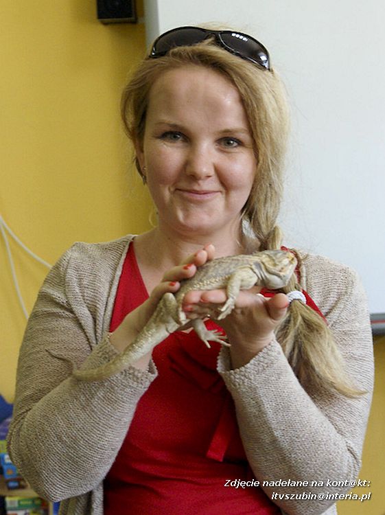 Jaszczurki Angela i Zdzisia z wizytą u maluchów