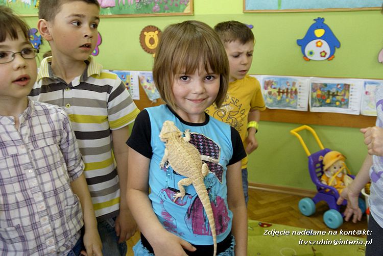 Jaszczurki Angela i Zdzisia z wizytą u maluchów