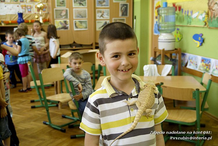 Jaszczurki Angela i Zdzisia z wizytą u maluchów