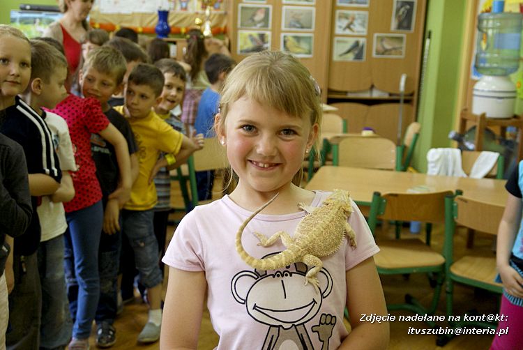 Jaszczurki Angela i Zdzisia z wizytą u maluchów