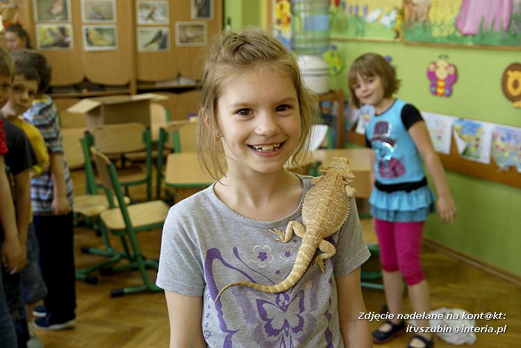 Jaszczurki Angela i Zdzisia z wizytą u maluchów