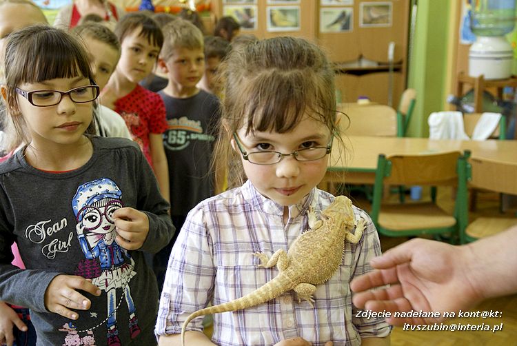 Jaszczurki Angela i Zdzisia z wizytą u maluchów