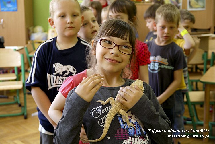Jaszczurki Angela i Zdzisia z wizytą u maluchów