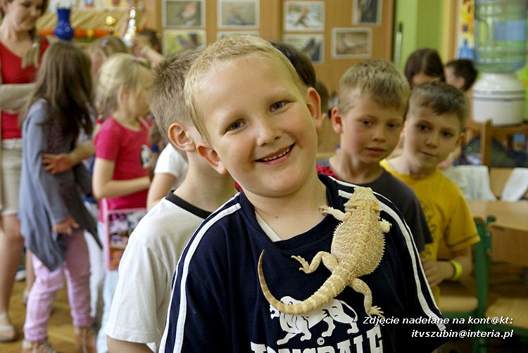 Jaszczurki Angela i Zdzisia z wizytą u maluchów