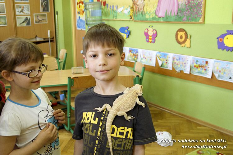 Jaszczurki Angela i Zdzisia z wizytą u maluchów