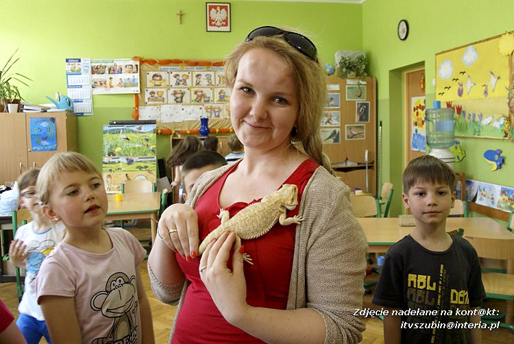 Jaszczurki Angela i Zdzisia z wizytą u maluchów