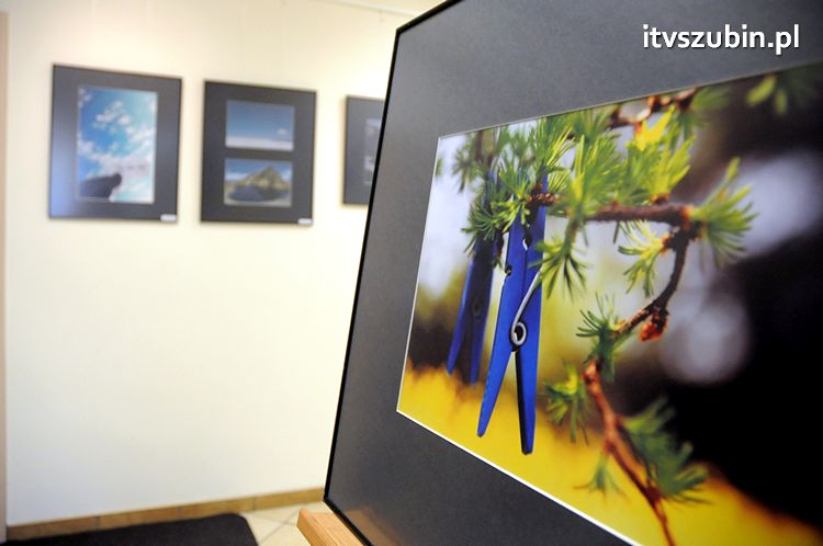 BŁĘKIT - temat przewodni najnowszej wystawy fleszowców