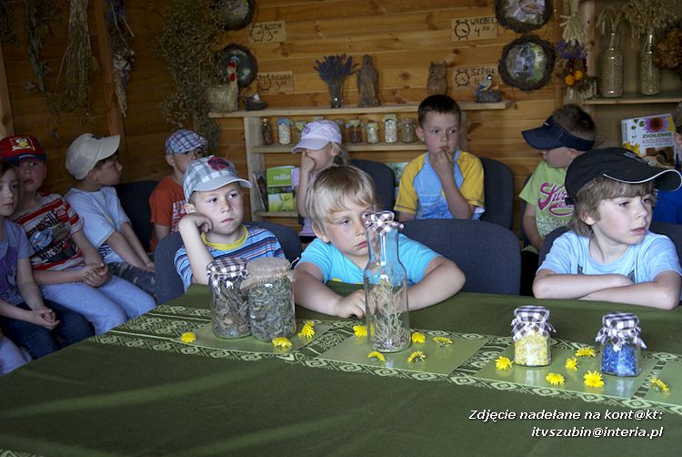 Maluchy z szubińskiej dwójki z wizytą w edukacyjnej zagrodzie