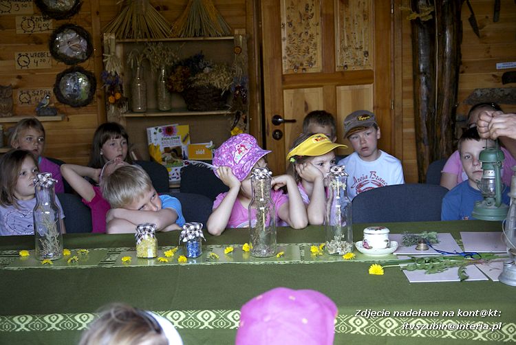 Maluchy z szubińskiej dwójki z wizytą w edukacyjnej zagrodzie