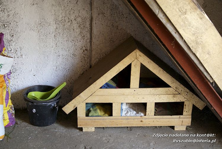 Maluchy z szubińskiej dwójki z wizytą w edukacyjnej zagrodzie