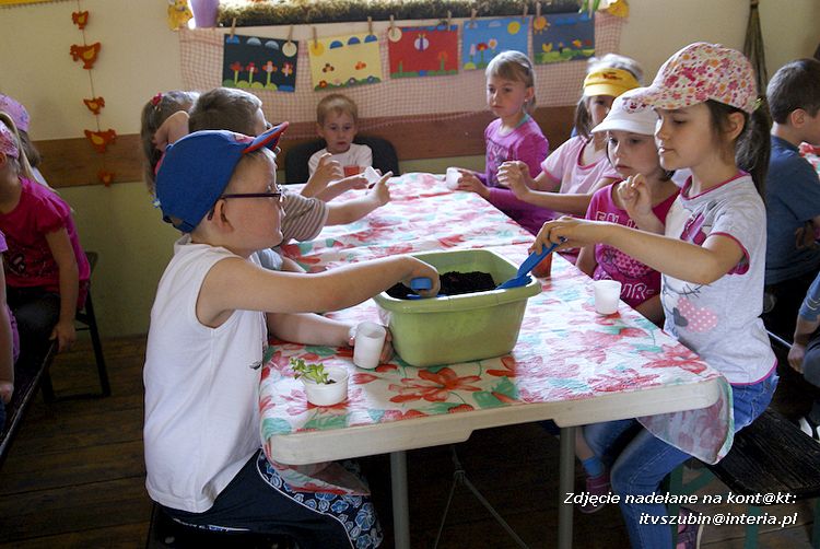 Maluchy z szubińskiej dwójki z wizytą w edukacyjnej zagrodzie