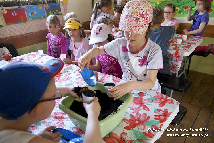 Maluchy z szubińskiej dwójki z wizytą w edukacyjnej zagrodzie