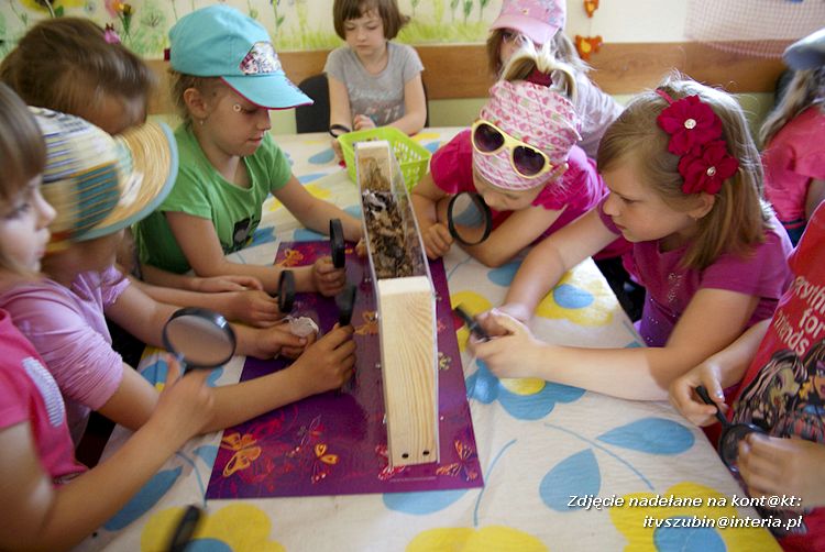 Maluchy z szubińskiej dwójki z wizytą w edukacyjnej zagrodzie