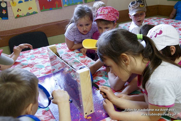 Maluchy z szubińskiej dwójki z wizytą w edukacyjnej zagrodzie