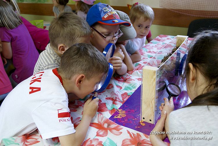 Maluchy z szubińskiej dwójki z wizytą w edukacyjnej zagrodzie