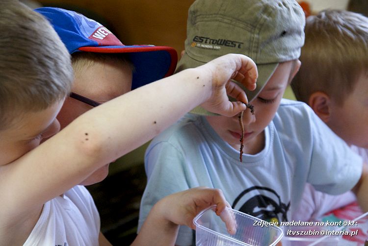 Maluchy z szubińskiej dwójki z wizytą w edukacyjnej zagrodzie