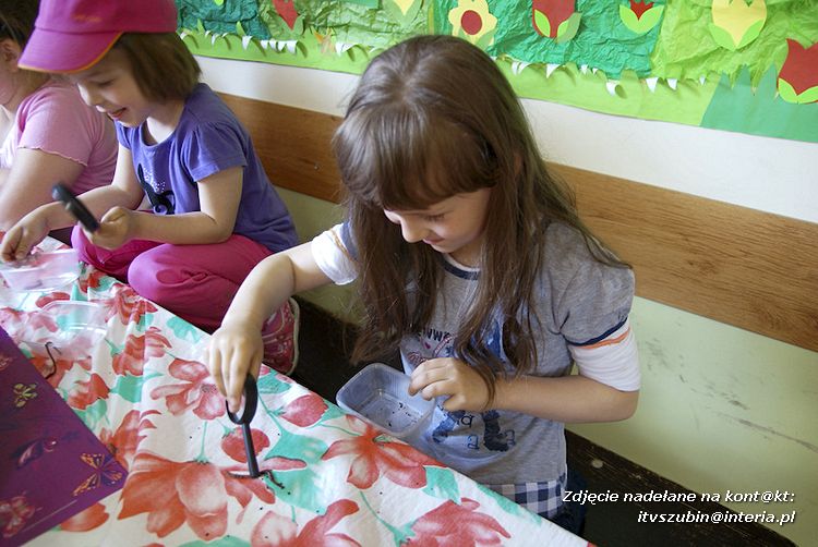 Maluchy z szubińskiej dwójki z wizytą w edukacyjnej zagrodzie