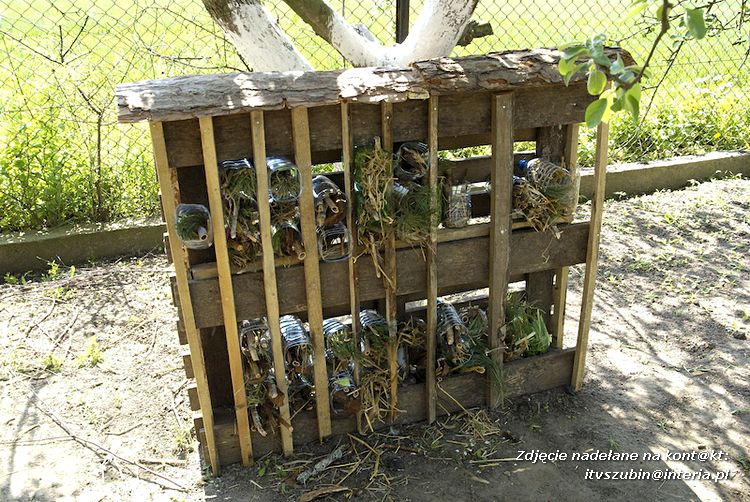 Maluchy z szubińskiej dwójki z wizytą w edukacyjnej zagrodzie