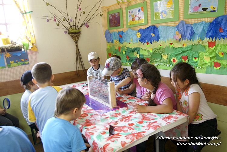 Maluchy z szubińskiej dwójki z wizytą w edukacyjnej zagrodzie