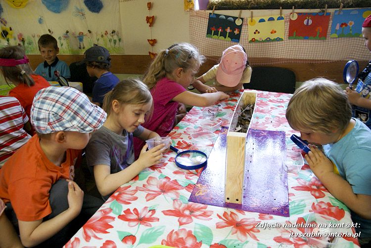Maluchy z szubińskiej dwójki z wizytą w edukacyjnej zagrodzie