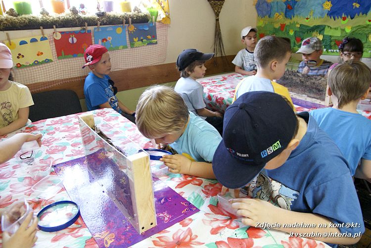 Maluchy z szubińskiej dwójki z wizytą w edukacyjnej zagrodzie