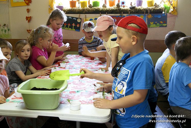 Maluchy z szubińskiej dwójki z wizytą w edukacyjnej zagrodzie