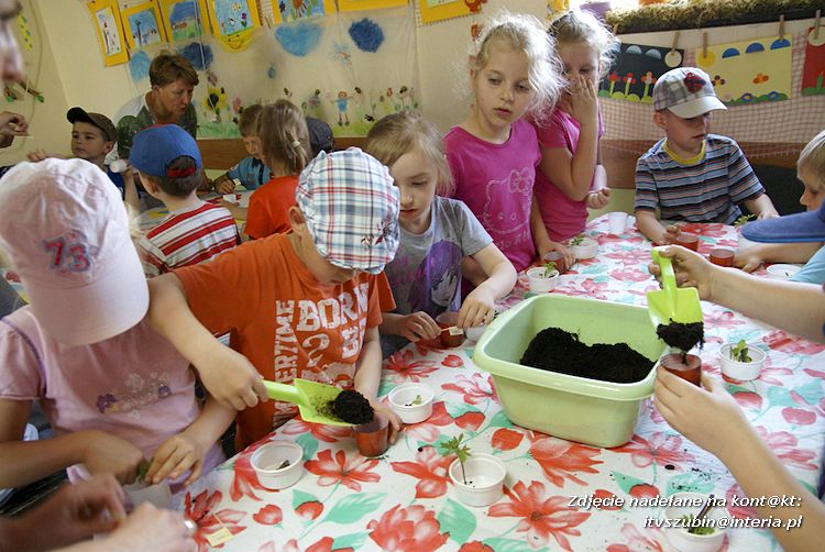 Maluchy z szubińskiej dwójki z wizytą w edukacyjnej zagrodzie