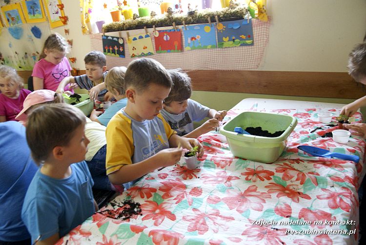Maluchy z szubińskiej dwójki z wizytą w edukacyjnej zagrodzie