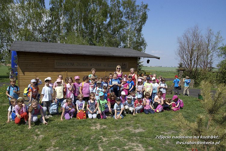 Maluchy z szubińskiej dwójki z wizytą w edukacyjnej zagrodzie