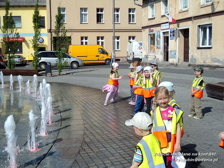 Tygryski w księgarni i przy fontannach