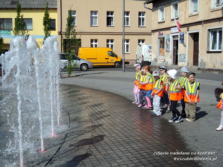 Tygryski w księgarni i przy fontannach