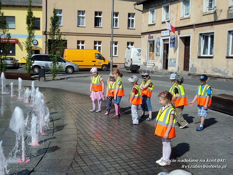 Tygryski w księgarni i przy fontannach