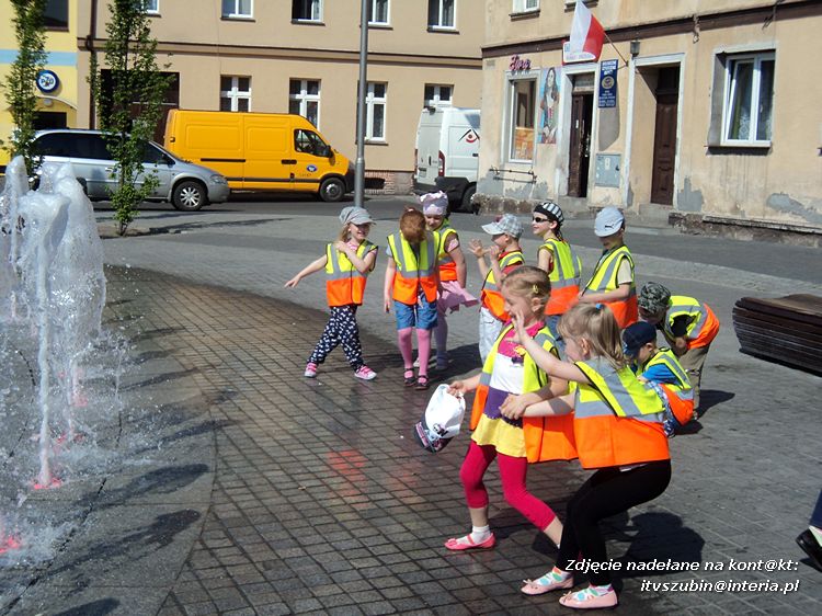 Tygryski w księgarni i przy fontannach