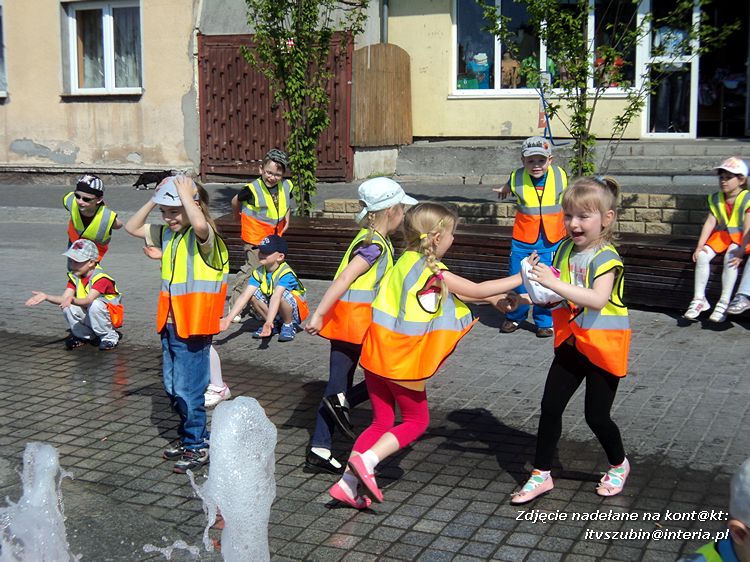 Tygryski w księgarni i przy fontannach