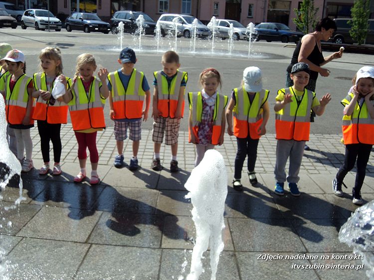 Tygryski w księgarni i przy fontannach