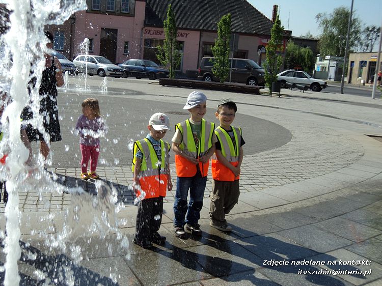 Tygryski w księgarni i przy fontannach