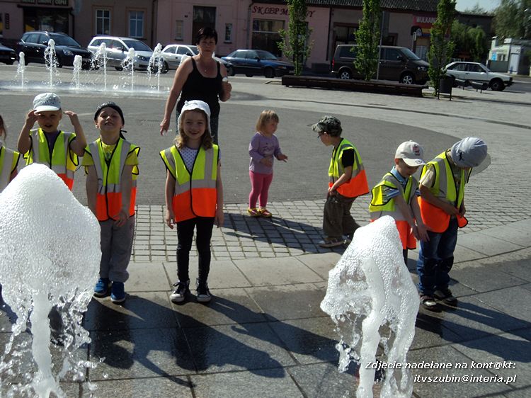 Tygryski w księgarni i przy fontannach