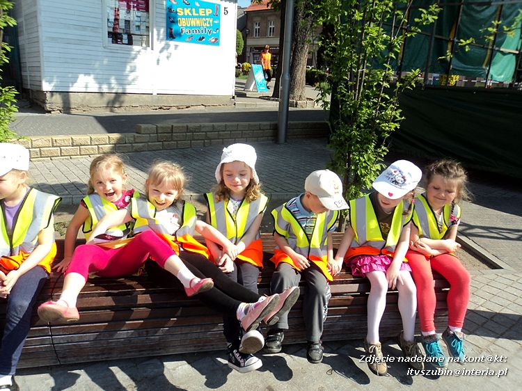 Tygryski w księgarni i przy fontannach